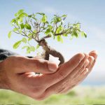 Gestão Ambiental – Tecnólogo
